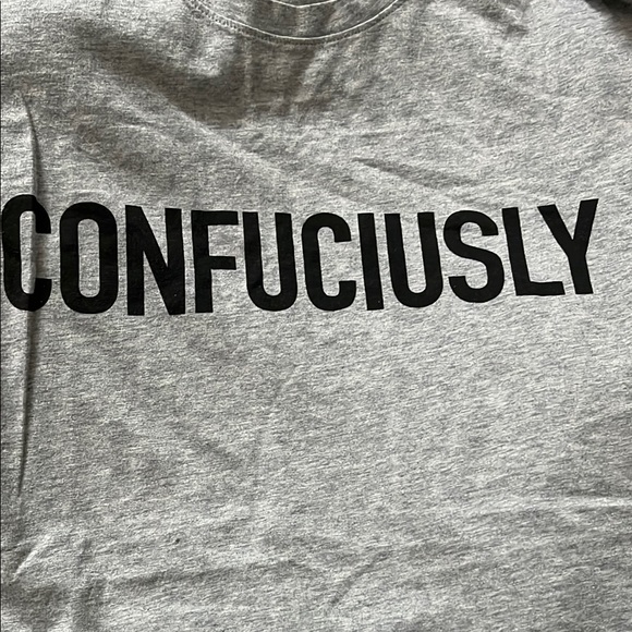 Goods of Desire Confuciusly T-Shirt, Gray Men's Size Medium - Picture 3 of 7